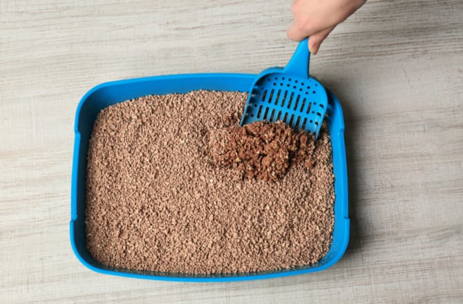how often should you clean a litter box for one cat how to clean a litter box with bleach how to clean a litter box in an apartment how to clean litter box how often should you change out all the kitty litter? litter box cleaning hacks self cleaning litter box how often to change clumping litter