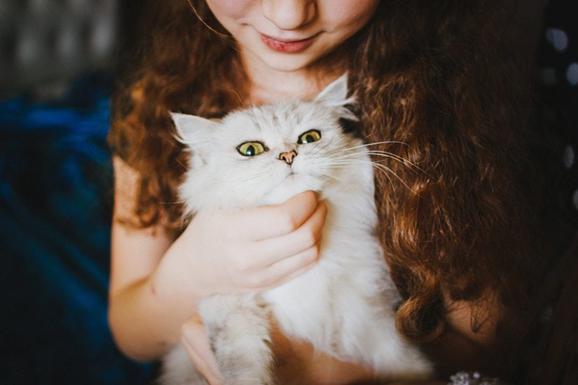Understanding Your Cat’s 5 Senses, Cats, cat scratch, cat stuff, sphynx cat, cat talking, siberian cat, black cat, funny cats, cat images, cute cats, cute kittens, cat names, hairless cat, food cat
