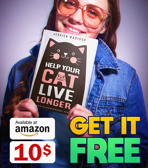 help your cat live longer, ebook, jassica madison, My awesome cat store, tshirt cat,Instagram,Cats, cats video, tabby cat, cat scratch, cat stuff, sphynx cat, cat talking, siberian cat, black cat, funny cats, cat images, cute cats, cute kittens, cat names, hairless cat, food cat, Can cats laugh?, How do you play with cats?, cat insurance, ,kittens ,pussy cat dolls ,funny cats ,pictures of cats ,pets ,kitten ,pet beds ,pet supplies ,pet horoscopes ,penthouse pets ,pussy cat ,pet ,black cat ,cat names ,kitten natividad ,virtual pets ,atomic kitten ,pet names ,cat fight ,cat stevens ,adopt a pet ,pet insurance ,pet tracking ,teachers pet ,cat sex ,cat breeds ,cats in the cradle ,cat pictures ,funny cat ,cat urine ,arizona pet rescue ,pet meds ,how to wean a bottle fed kitten ,pussy cats ,cheshire cat ,sex kitten ,black cats ,felix the cat ,cat urine cleaner ,pet shop boys ,cute kittens ,cat girl ,pet friendly hotels ,pet smart ,arctic cat ,funny cat videos ,cat fights ,cat woman ,siamese cats ,cat urine remover ,big cats ,fat cat ,penthouse pet ,cat furniture ,super cat urine ,serious cat urine ,extreme cat urine ,cat urine eliminator ,how to clean cat urine ,pet stores ,pet rats ,cat scratch fever ,fat cats ,exotic pets ,copy cat recipes ,artic cat ,pet scan ,minnesota pet shelter ,cat in the hat ,cats and dogs ,golden valley pet shelter ,pet costumes ,pet monkeys ,pets for sale ,pet medicine ,pet toys ,cat fighting ,cat girls ,funny cat pictures ,cat scan ,pet finder ,pet carrier bag ,pet store ,kitten cannon ,pet sex ,bengal cats ,dogs and cats ,tonkinese cats ,maine coon cats ,wild cats ,the pussy cat dolls ,free pets ,cat health ,cat food ,ragdoll cats ,pet id tags ,pet products ,pet adoption ,cat power ,tonkinese kittens ,cute cats ,pet medications ,stray cats ,cat hentai ,cartoon cats ,pet supply ,maine coon cat ,pet tags ,kitty cat ,house cats ,fisher cat ,pet shelter,az ,cat house ,penthouse pet galleries ,pet birds ,tonkinese kittens for sale ,cat girl hentai ,pet urns ,discount pet supplies ,cat cloning ,pet fish ,cat behavior ,cat lover gifts ,tonkinese cats for sale ,thunder cats ,cat deeley ,stupid cats ,pet health , myawesomecat.com